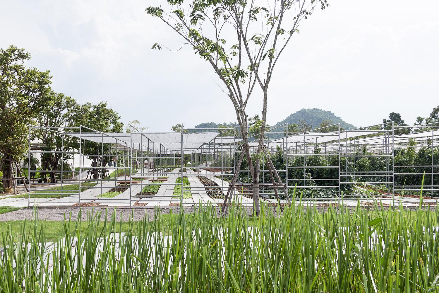 Coro Field : Phase 1 - image 4