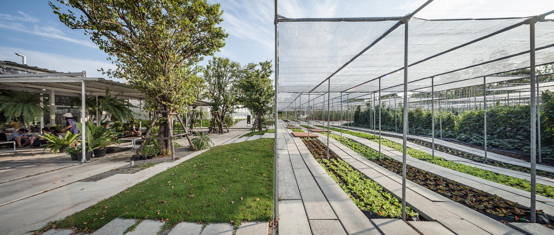 Coro Field : Phase 1 - image 6
