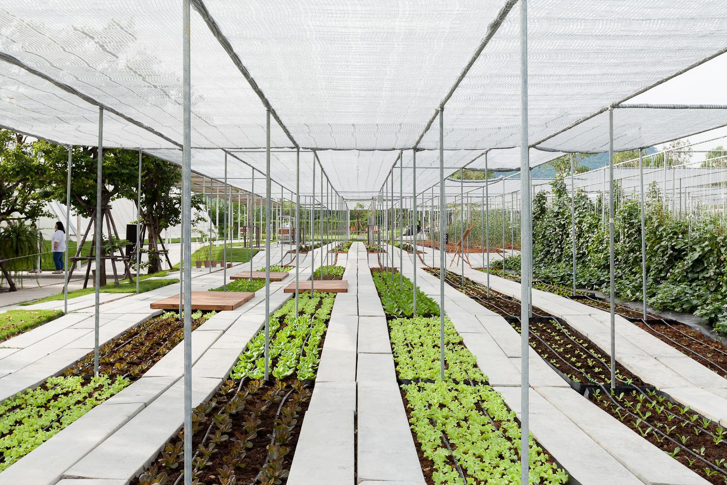Coro Field : Phase 1 - image 14