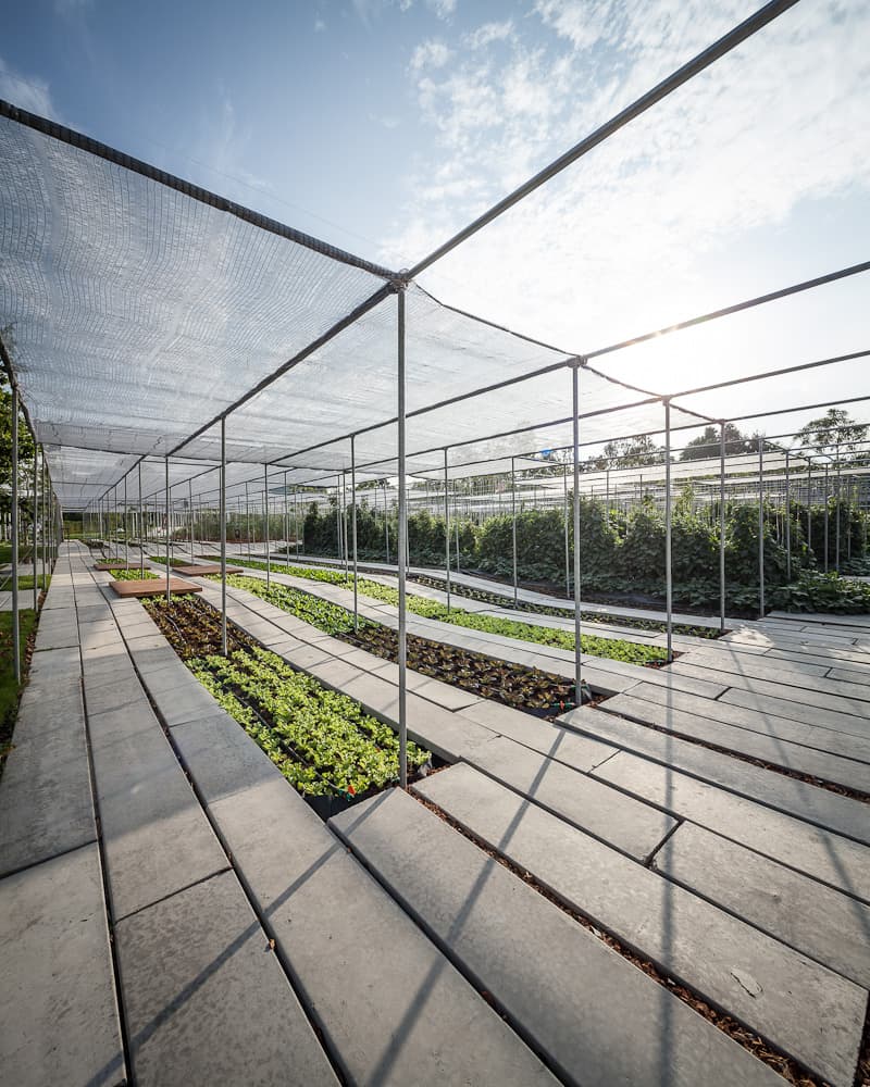 Coro Field : Phase 1 - image 15