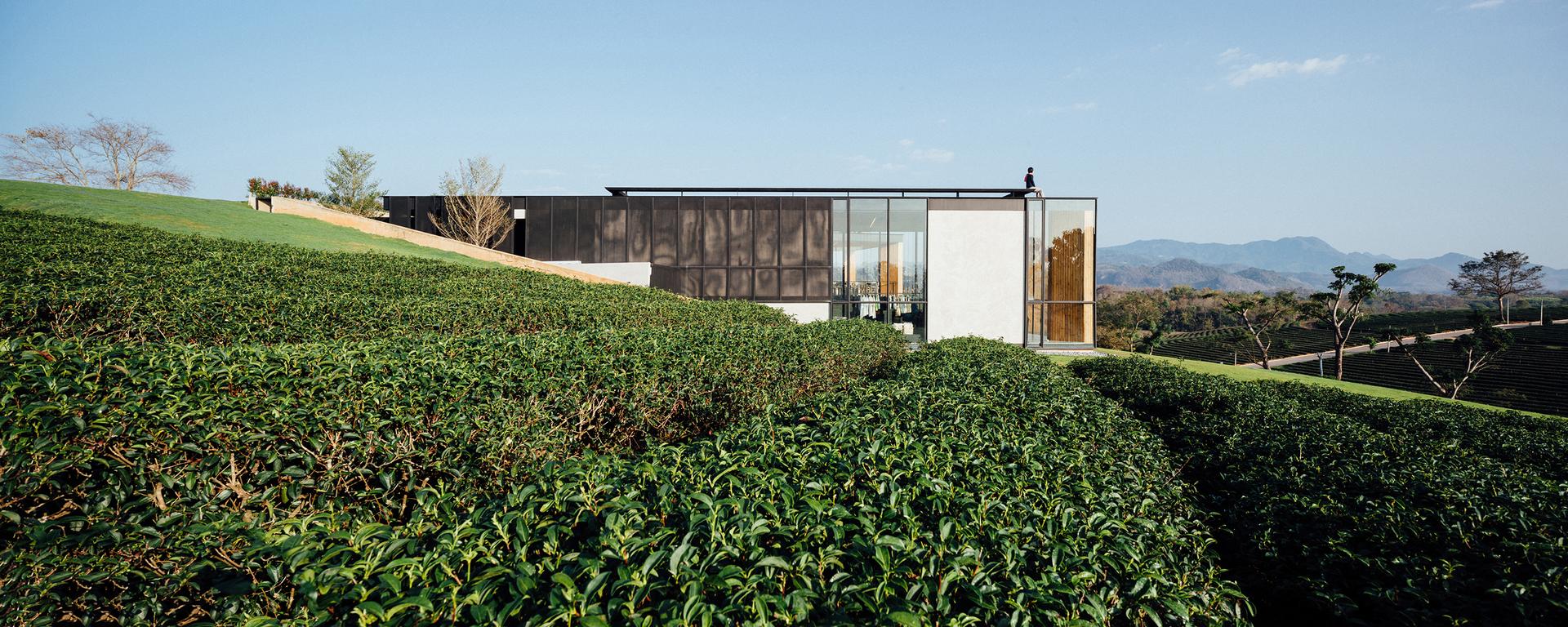Choui Fong Tea Café - image 4