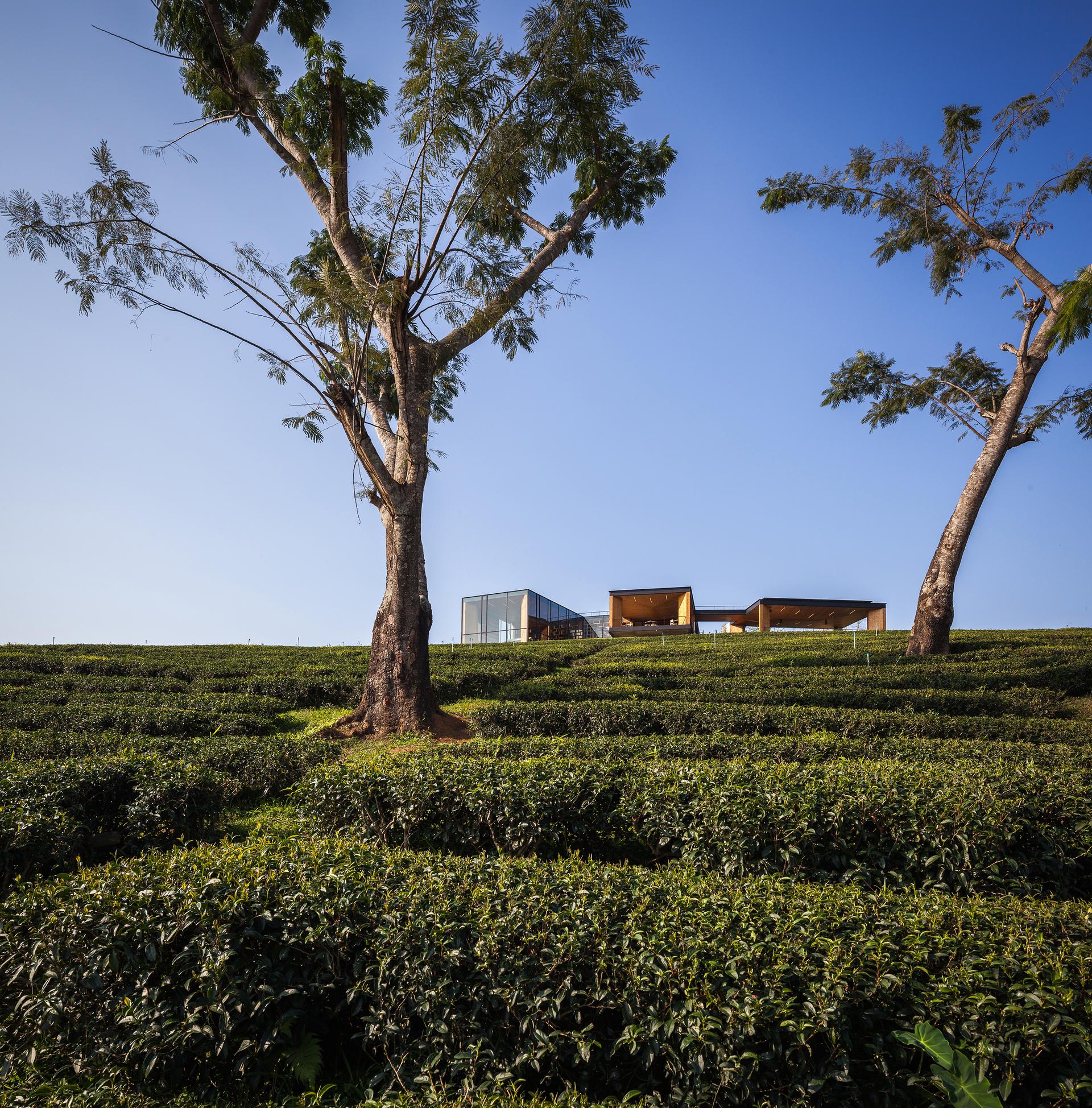 Choui Fong Tea Café - image 10