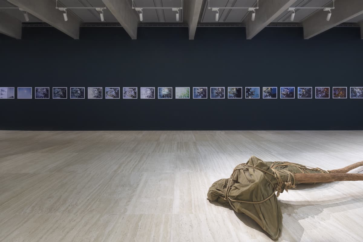 The John Kaldor Family Gallery, Art Gallery of NSW - image 4