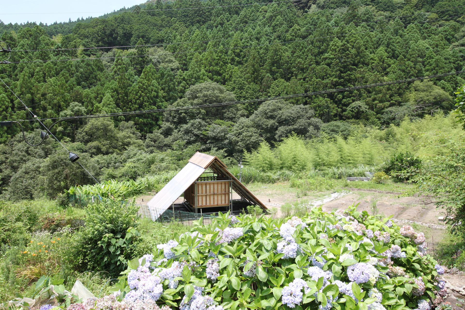 Self-built Shinto Shrine in a Depopulated Village in Japan