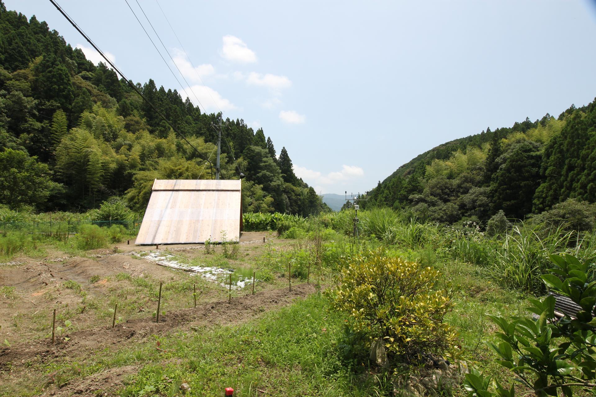 Self-built Shinto Shrine in a Depopulated Village in Japan - image 7