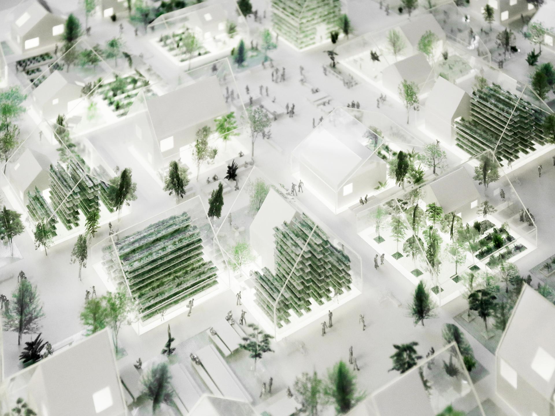 ReGen Villages - image 7