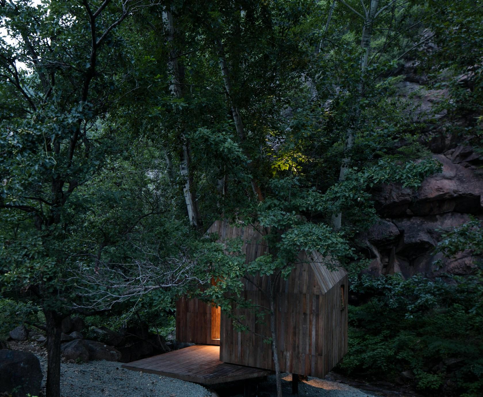 The Treehouse - image 2