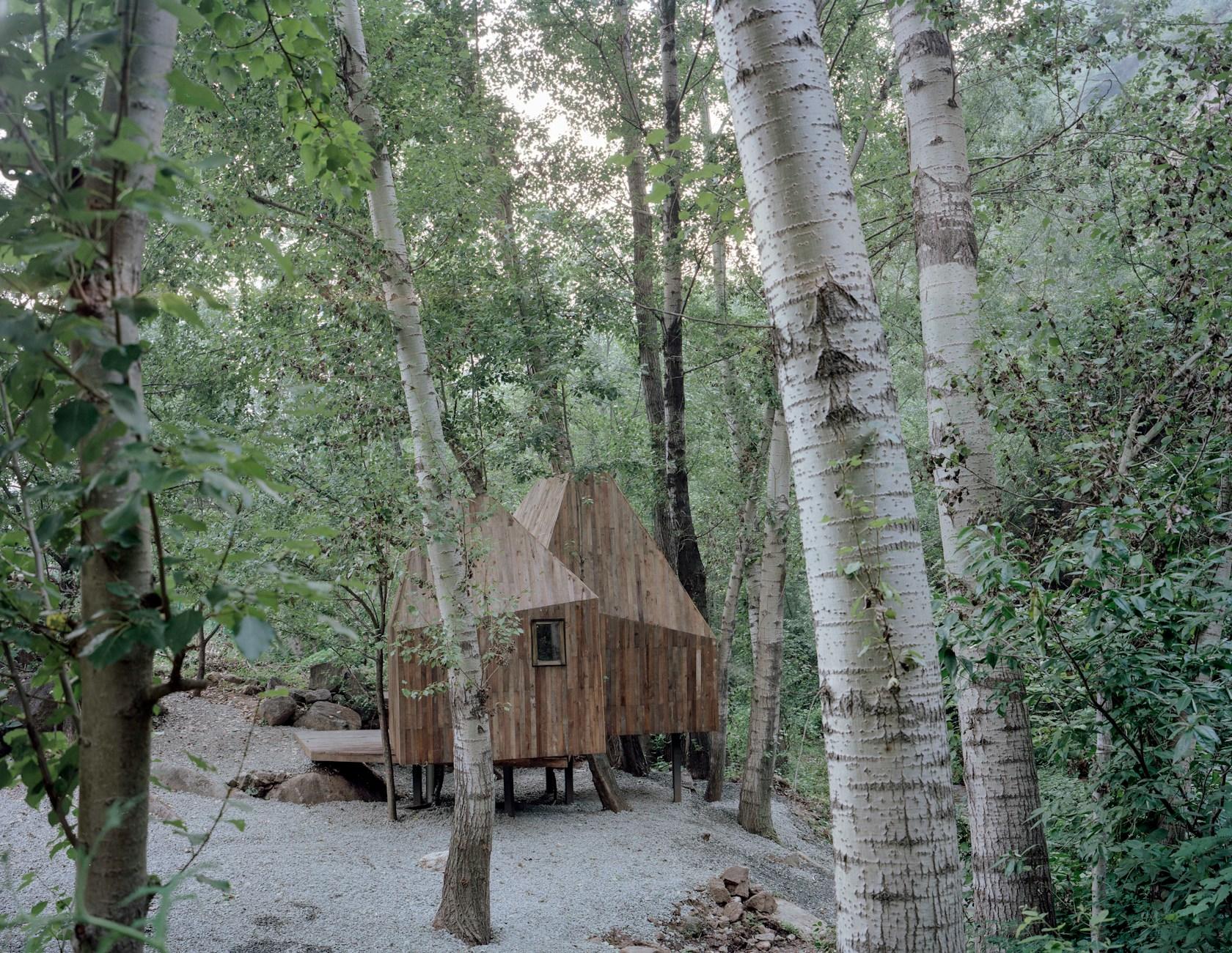 The Treehouse - image 4