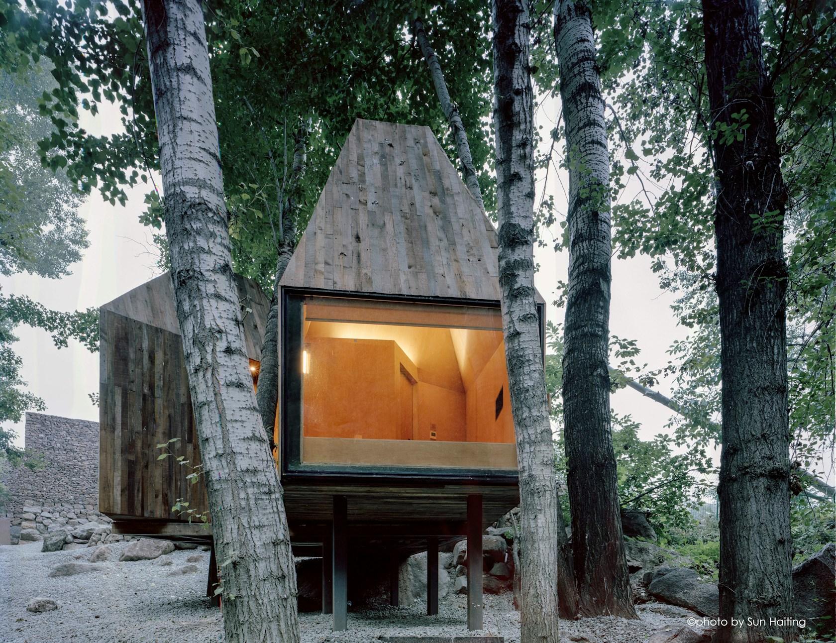 The Treehouse