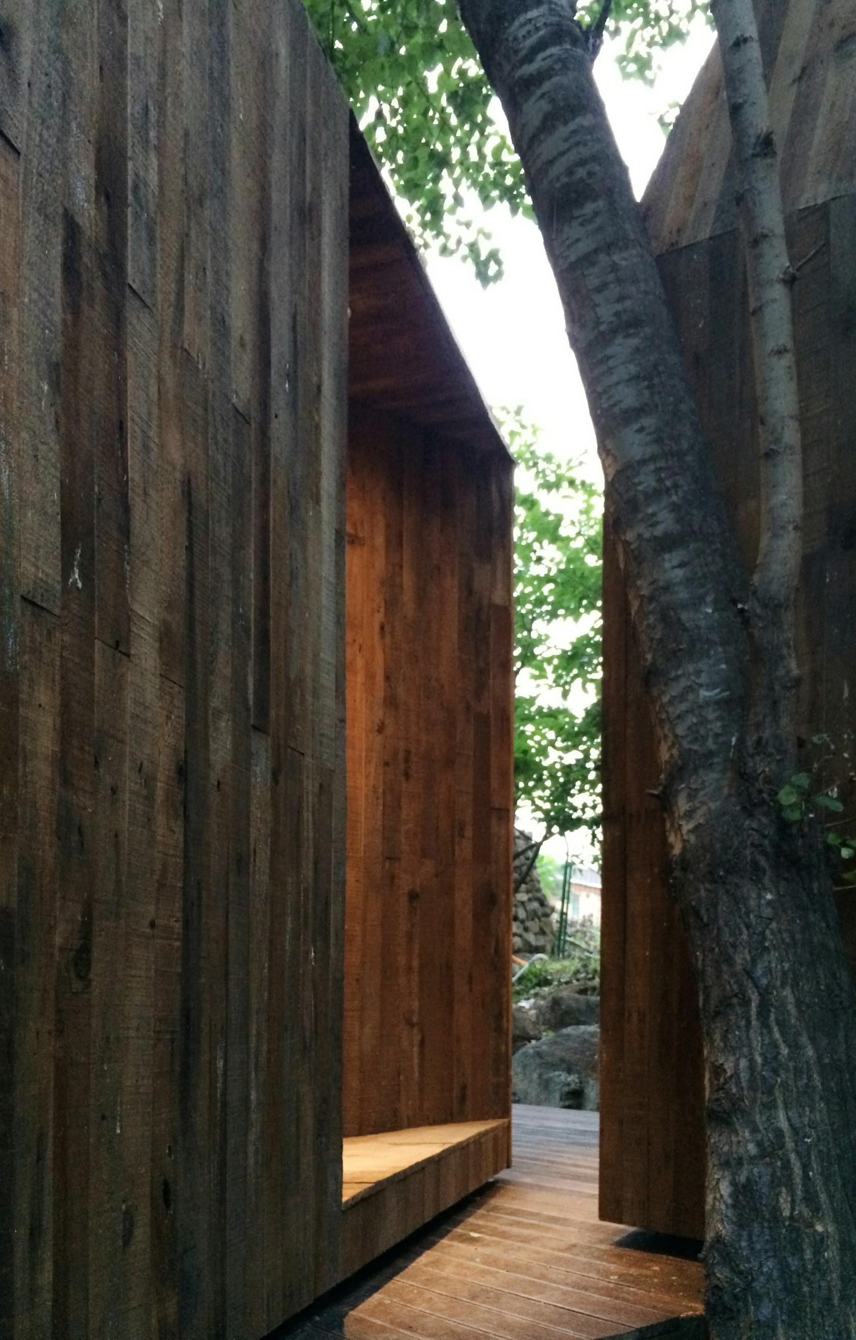 The Treehouse - image 14