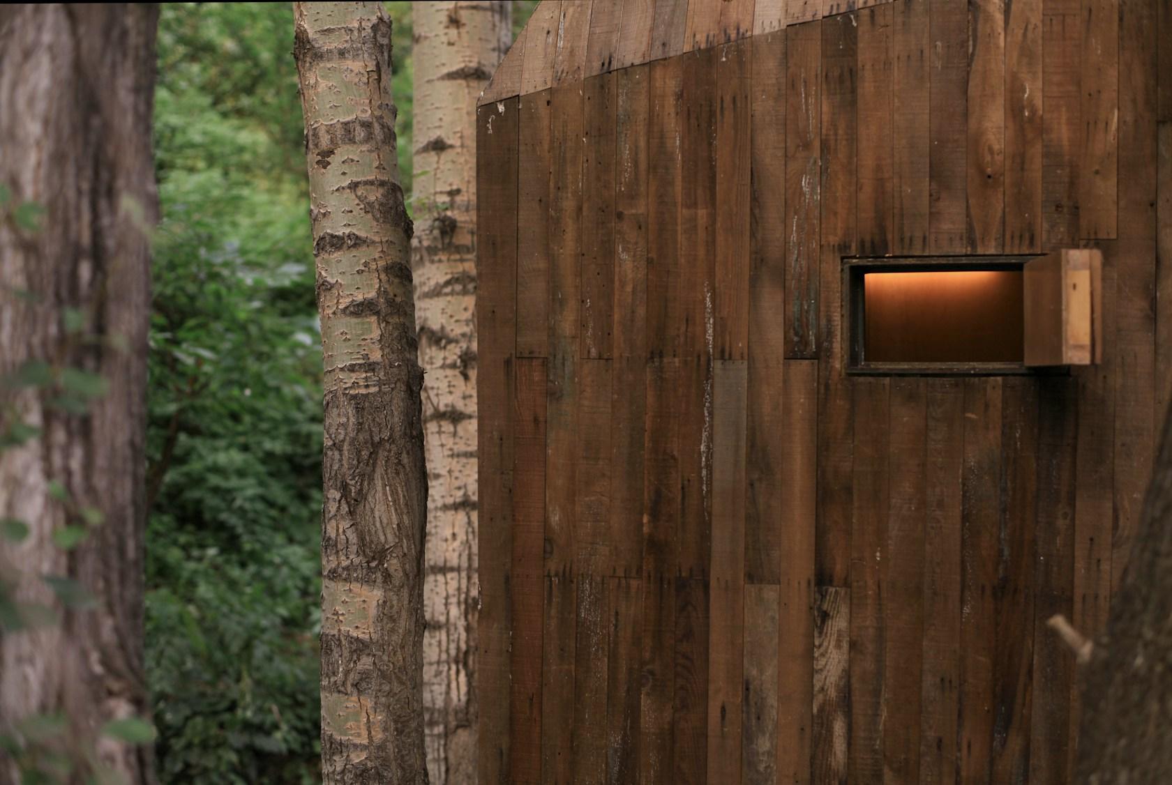 The Treehouse - image 18