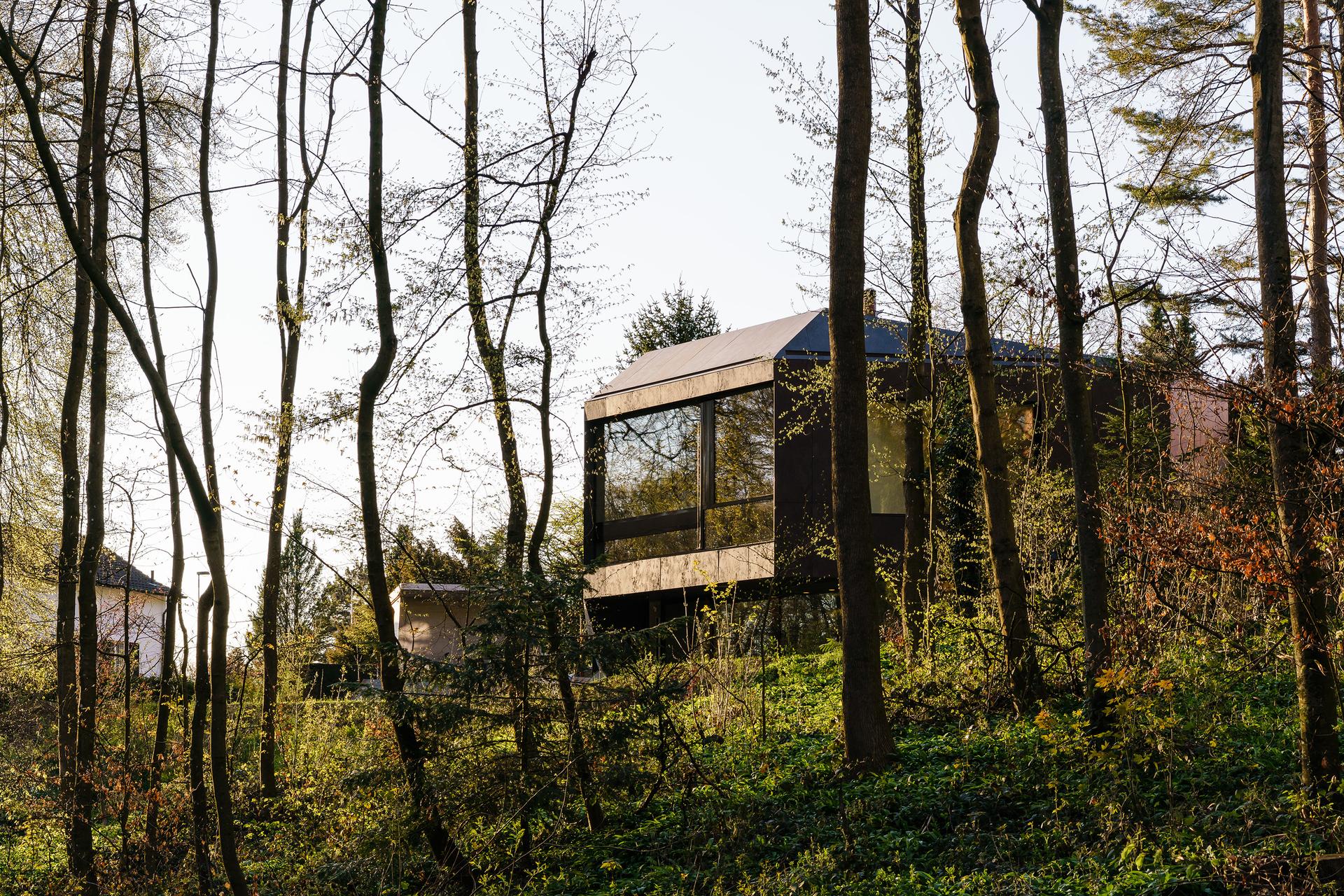 Casa Forest