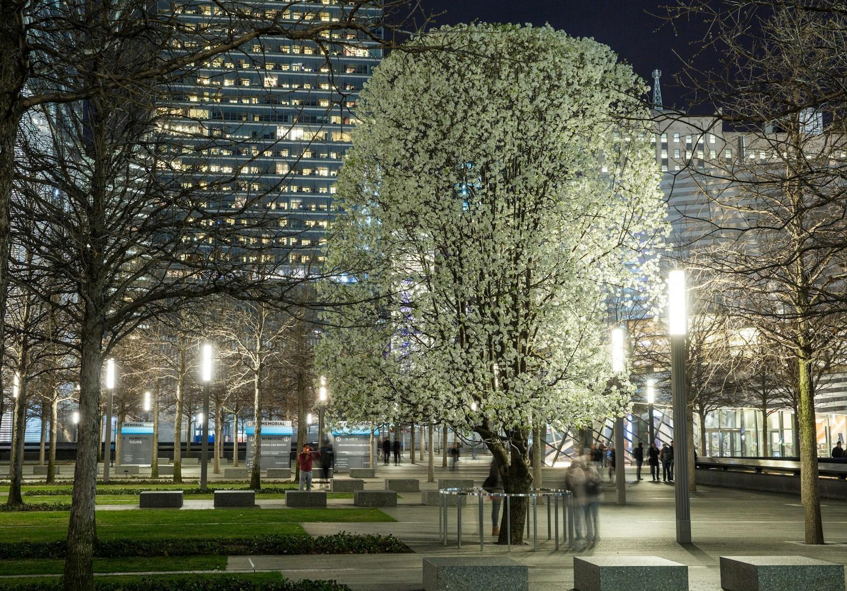 National September 11 Memorial - image 12