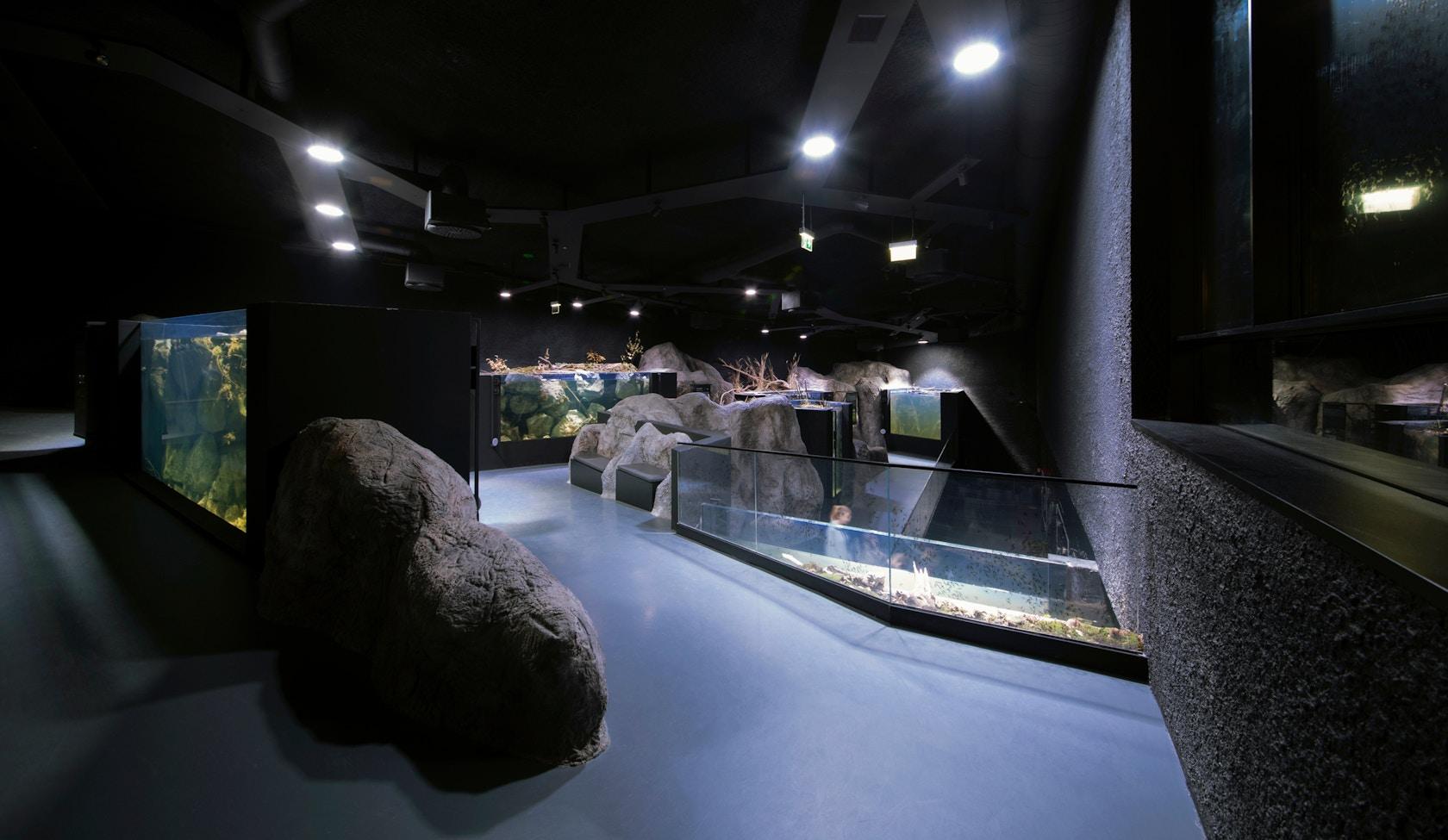Karlovac freshwater aquarium - image 16