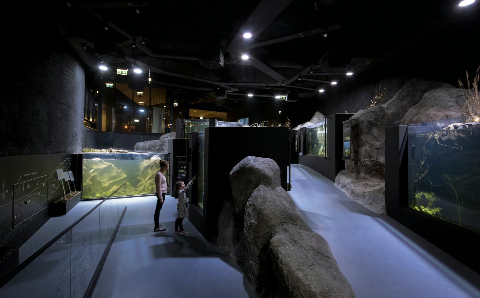 Karlovac freshwater aquarium - image 17