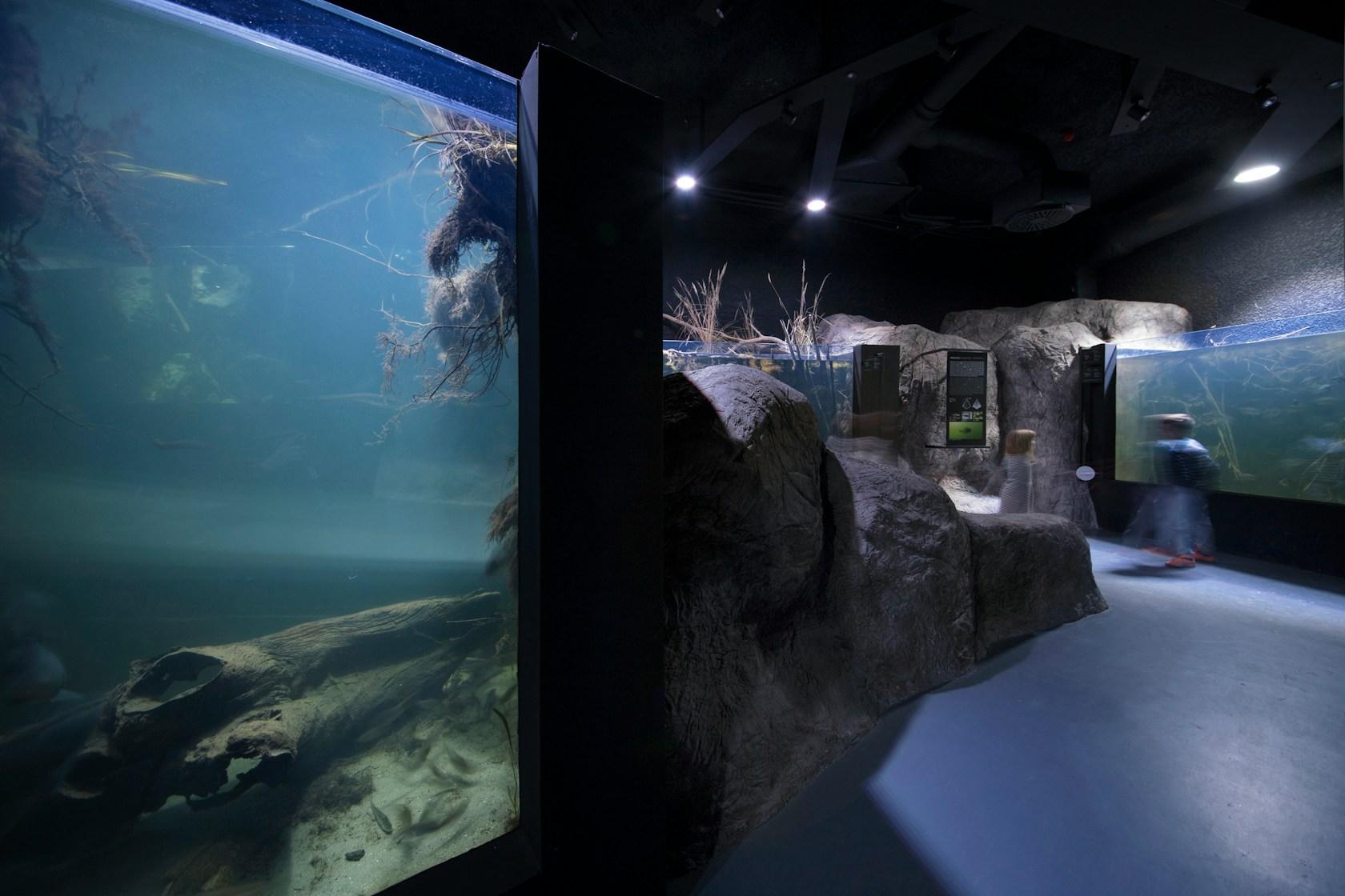 Karlovac freshwater aquarium - image 18
