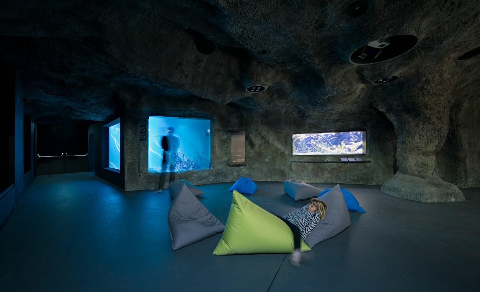 Karlovac freshwater aquarium - image 19
