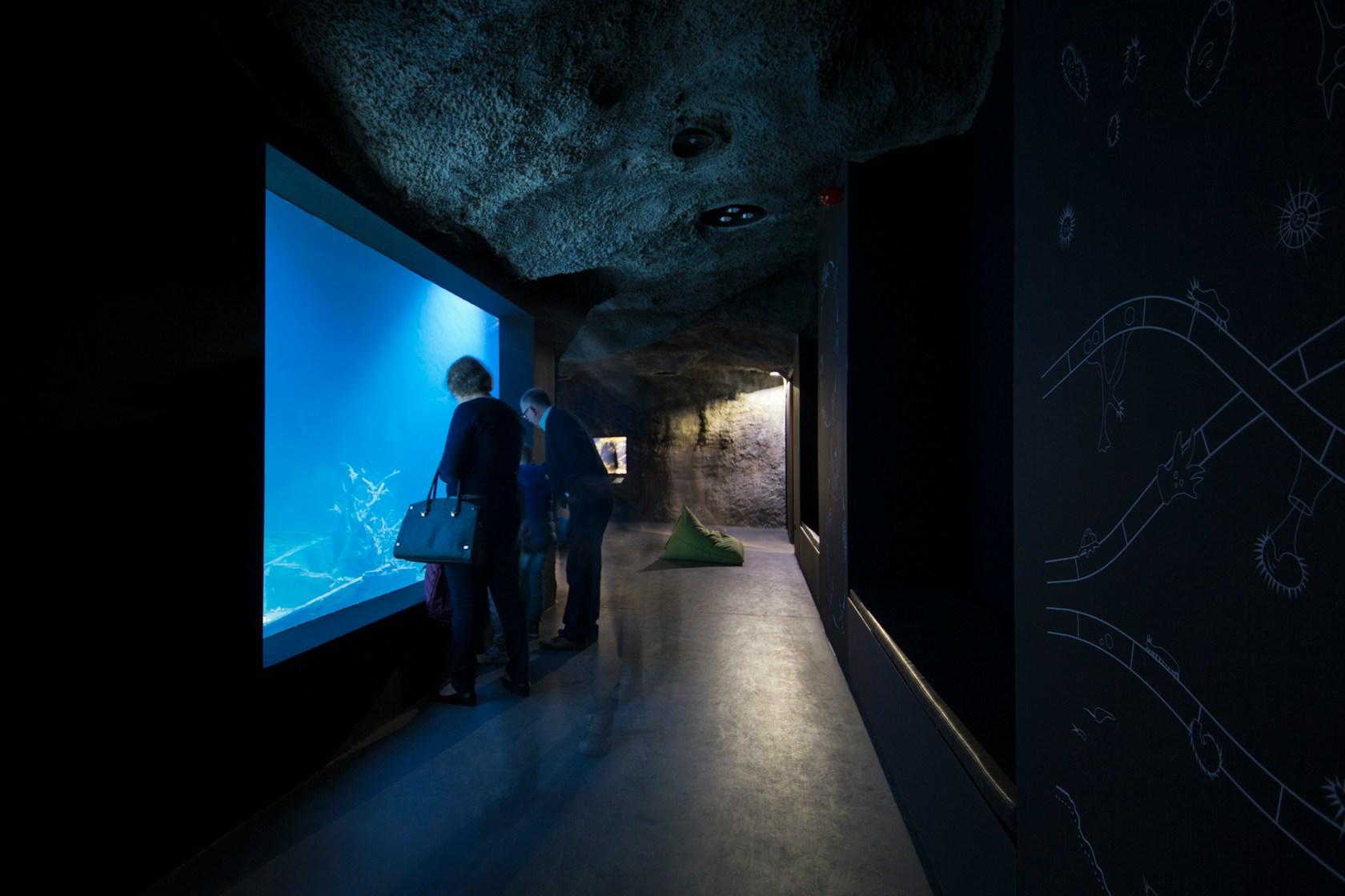 Karlovac freshwater aquarium - image 20