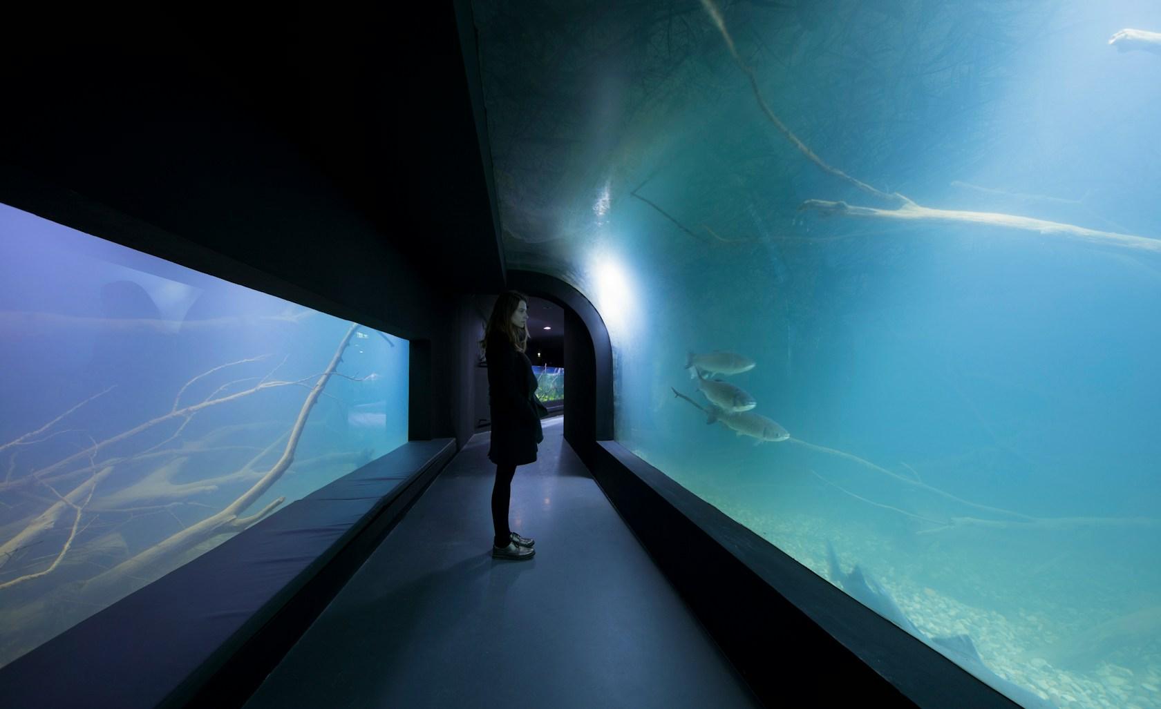 Karlovac freshwater aquarium - image 21