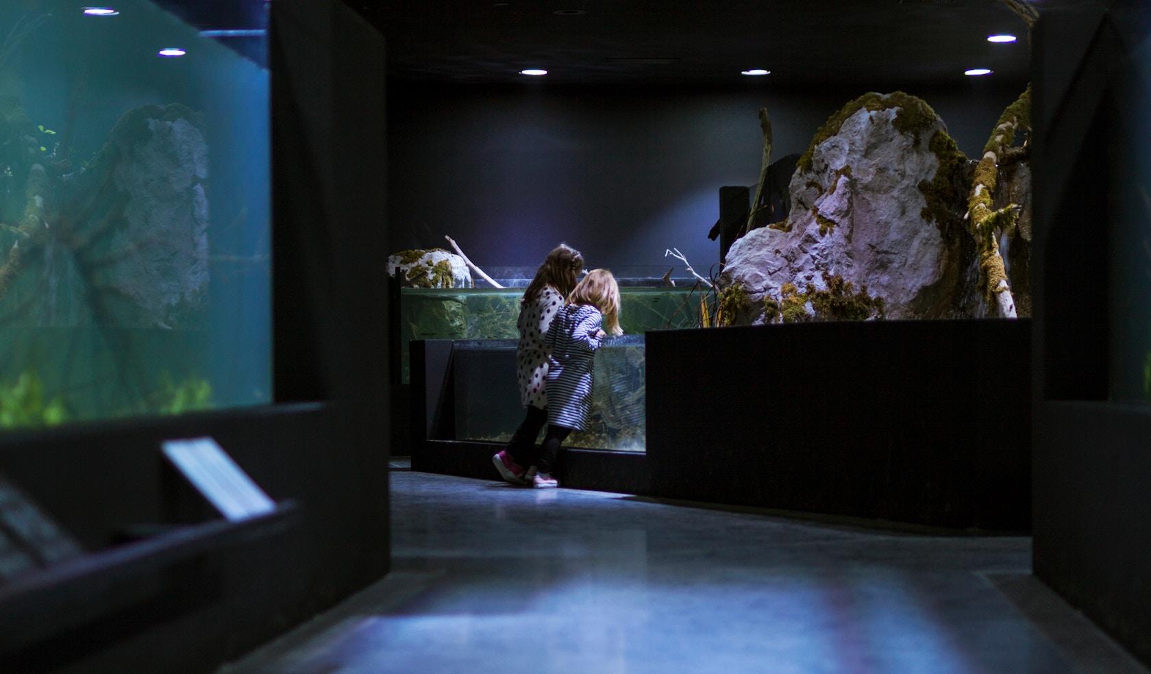 Karlovac freshwater aquarium - image 22