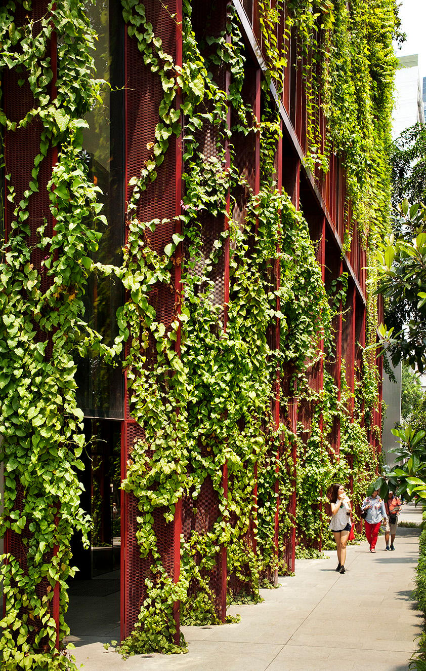 Oasia Hotel Downtown - image 12
