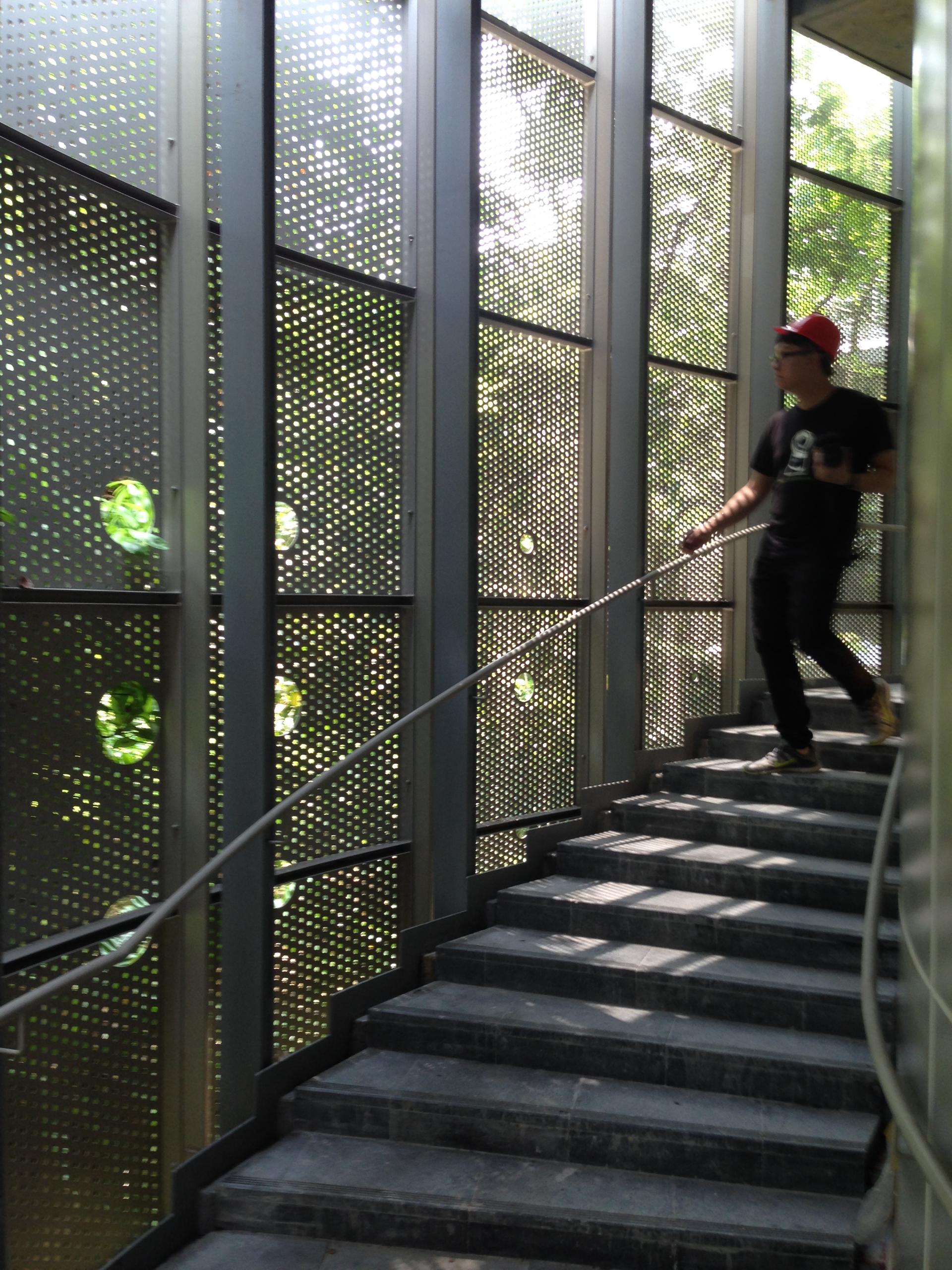Perception of Nature_ SINICA Eco Pavilion - image 6