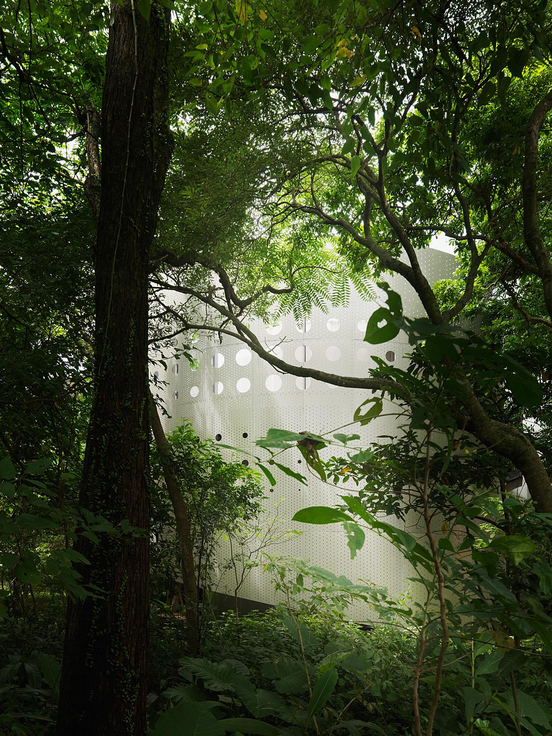 Perception of Nature_ SINICA Eco Pavilion