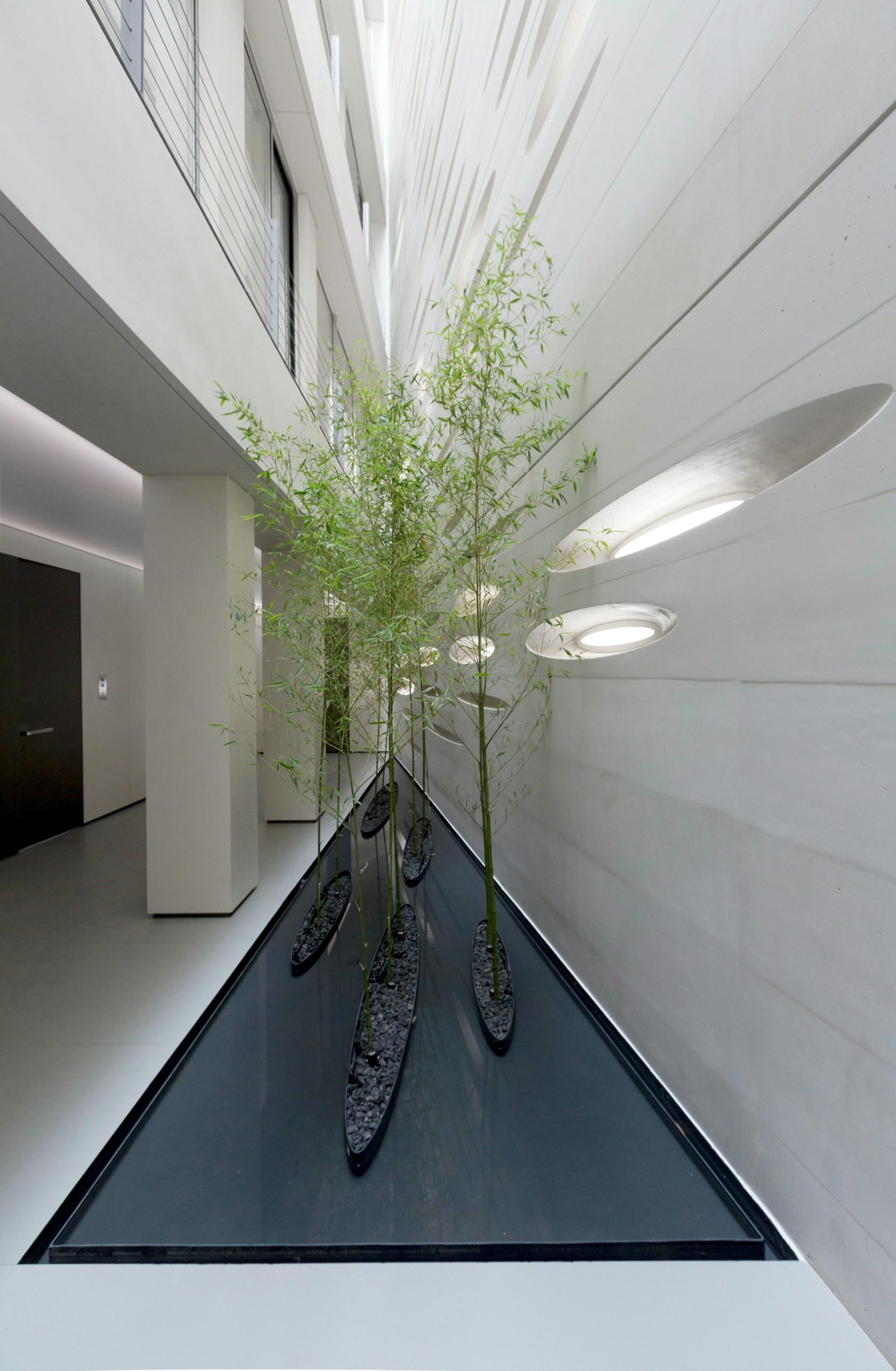 Rowzan residence - image 9