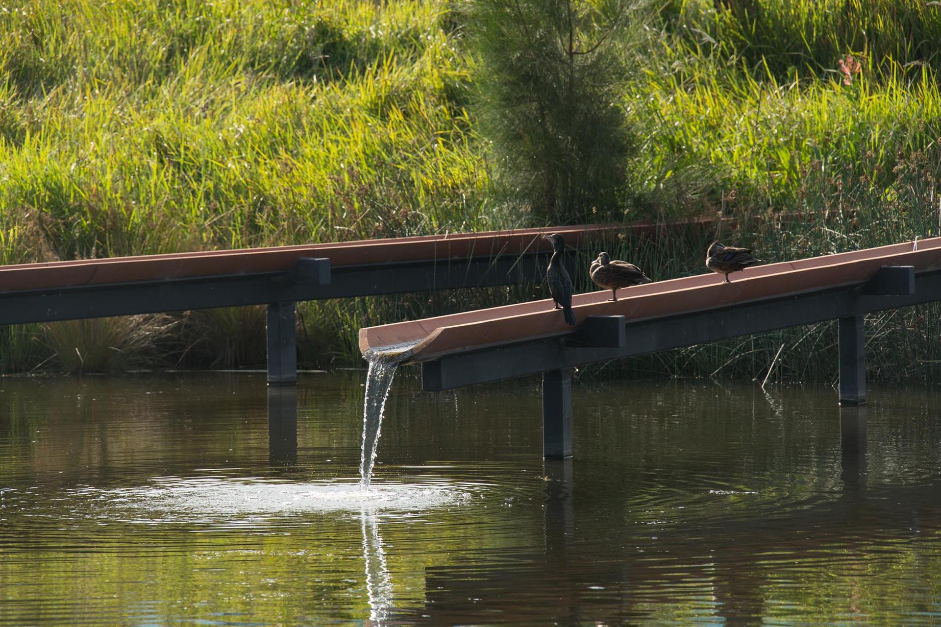 Sydney Park Water Re-Use Project - image 7