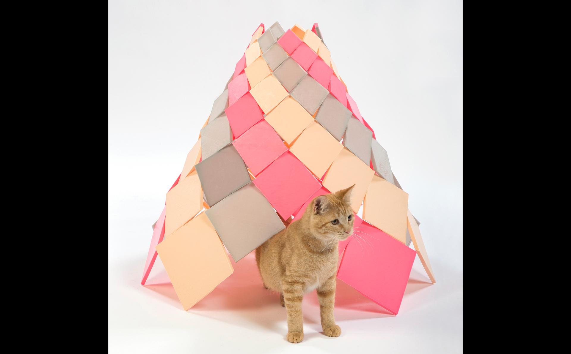 Spiral Kitty - image 3