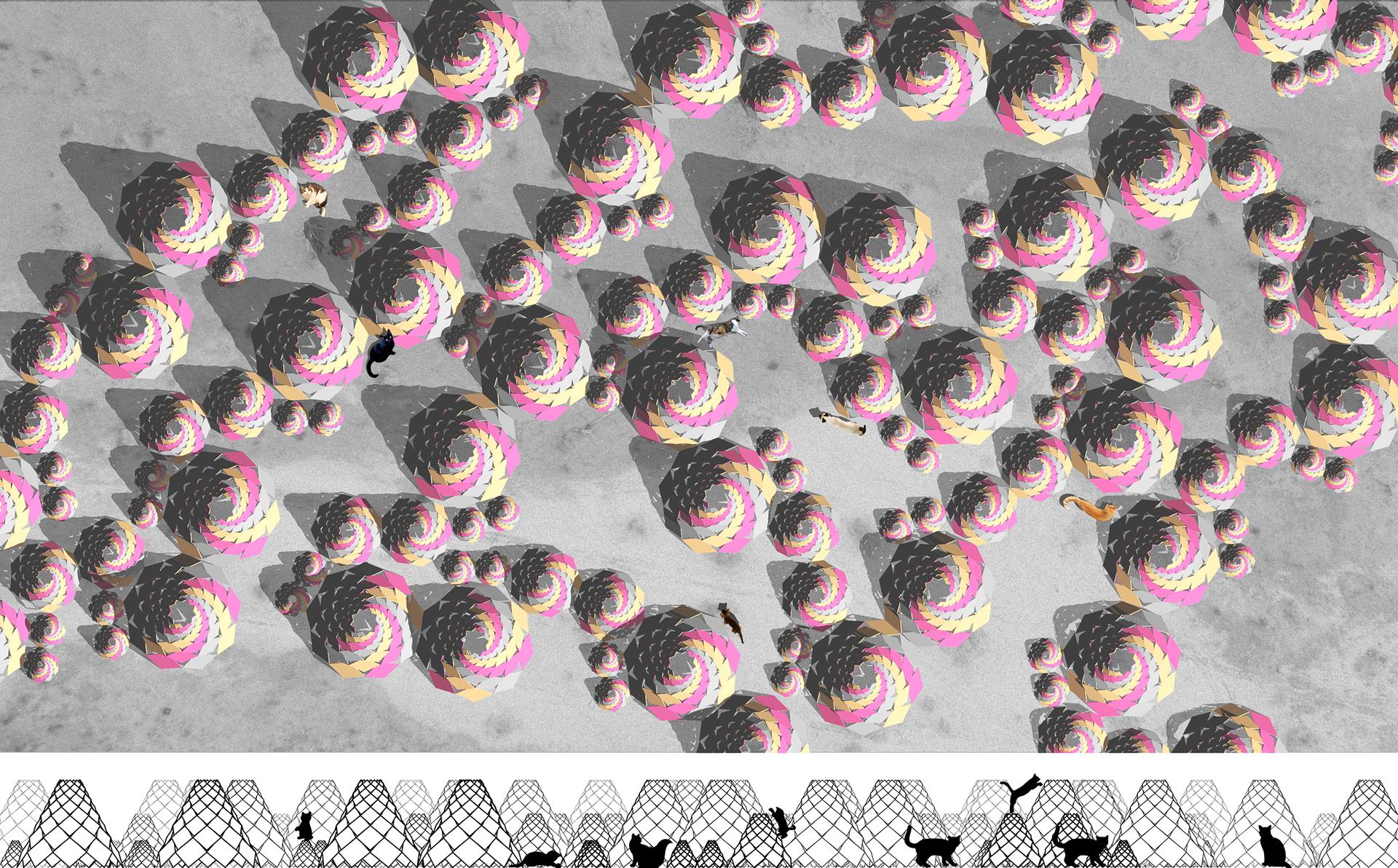 Spiral Kitty - image 5
