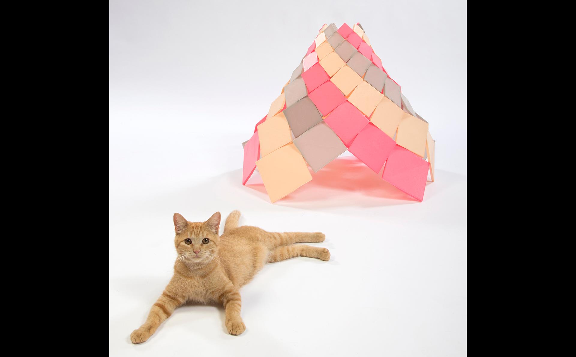 Spiral Kitty - image 11