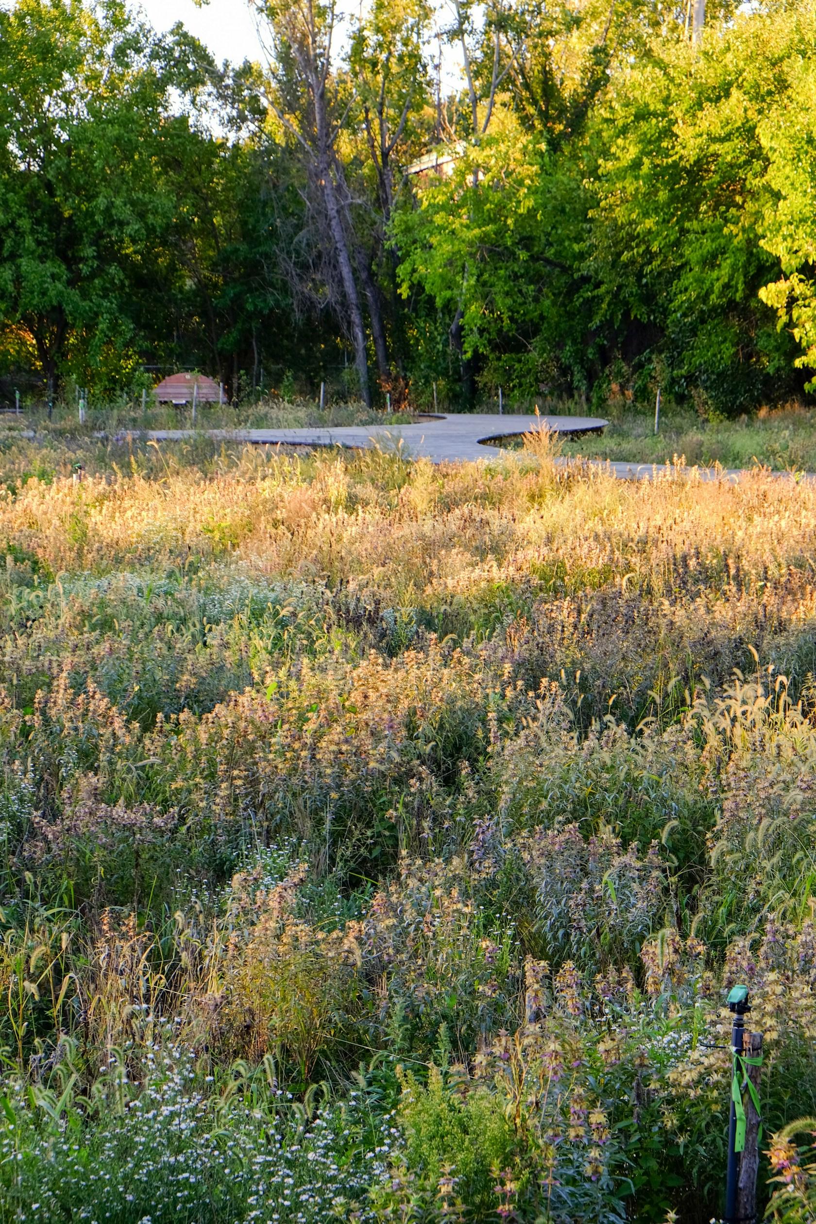 Naval Cemetery Landscape - image 9