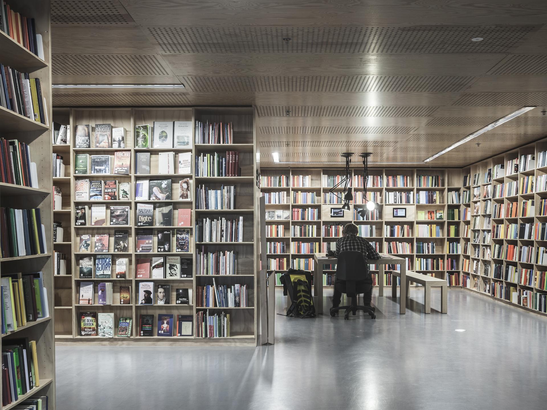 The Library - image 15