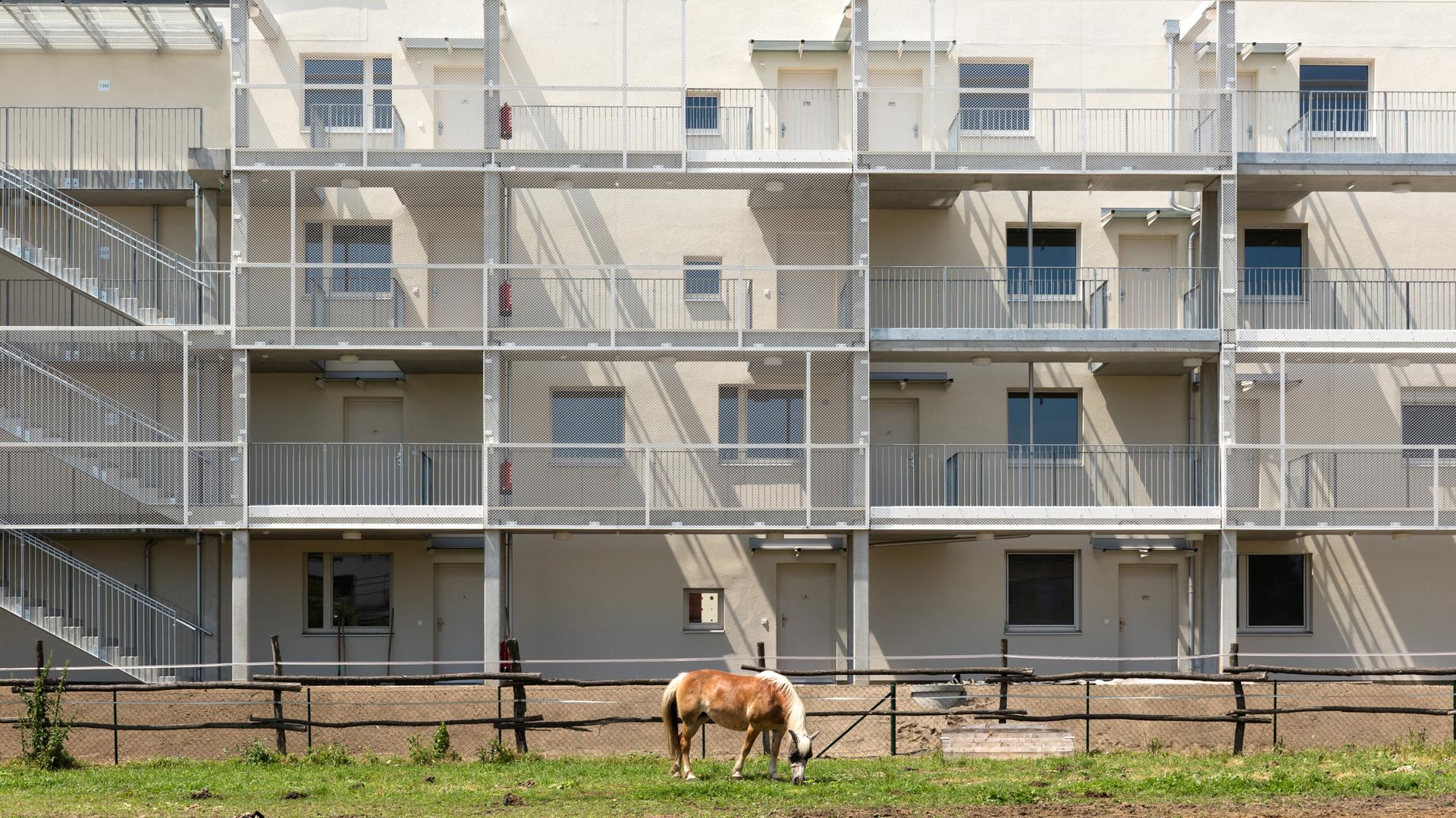 M GRUND Social Housing - image 2