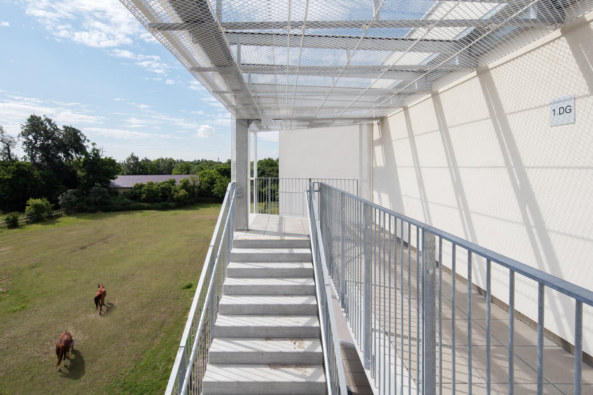 M GRUND Social Housing - image 6
