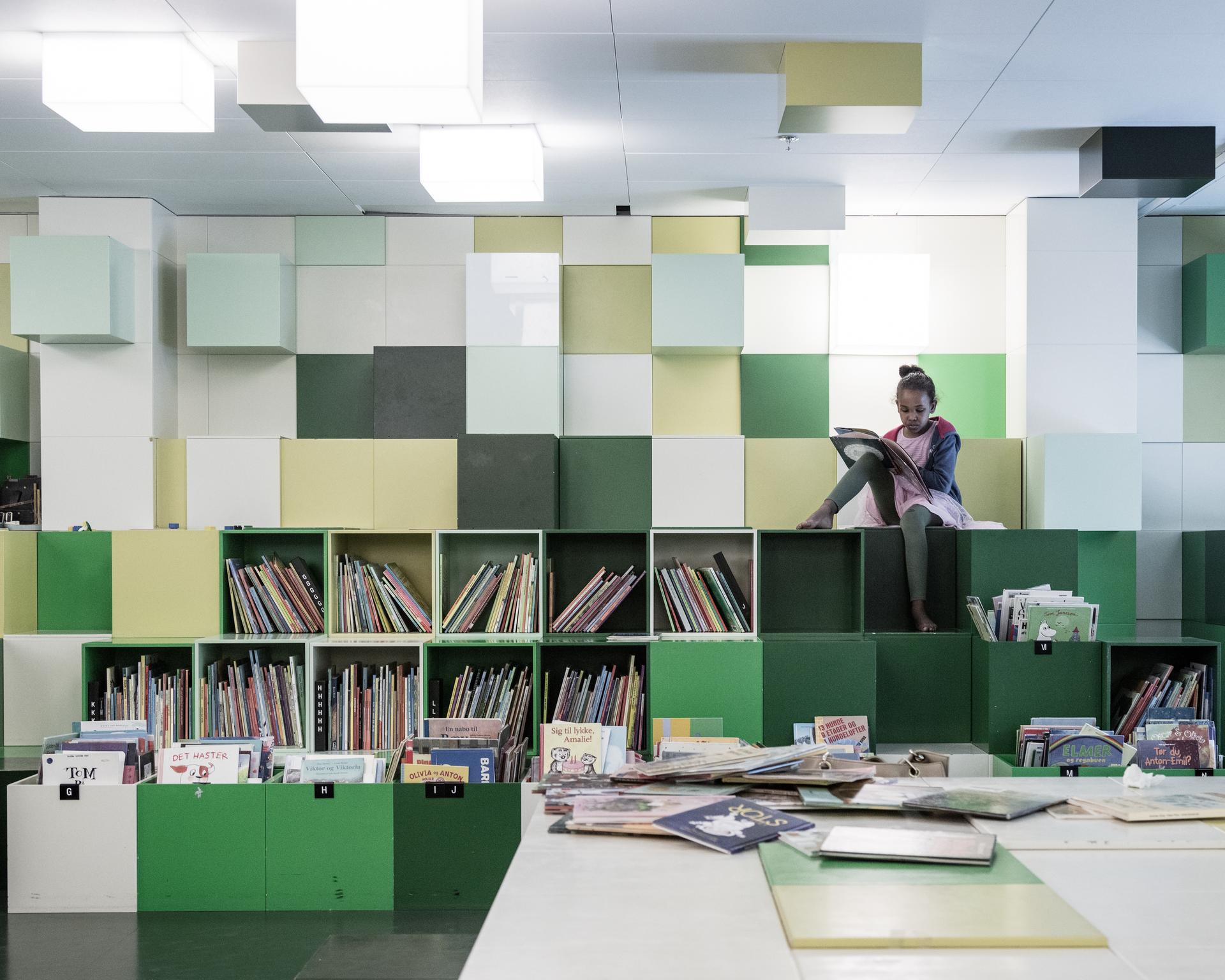 The Library - image 13