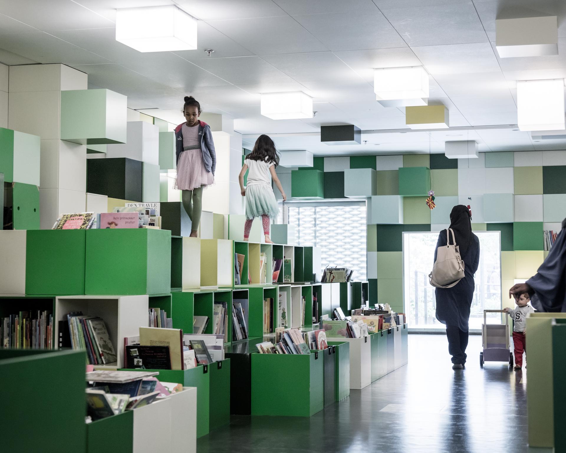 The Library - image 14
