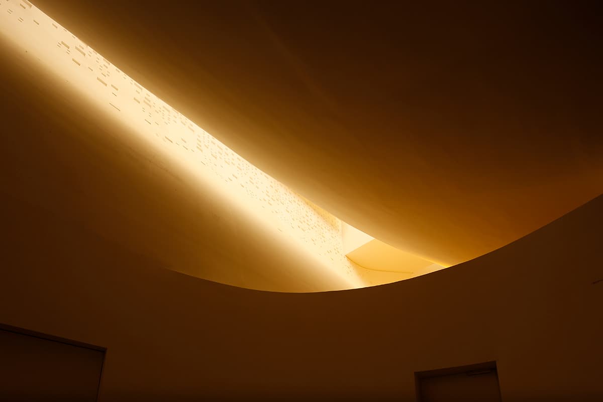 Philharmonie de Paris, Grande Salle - image 5