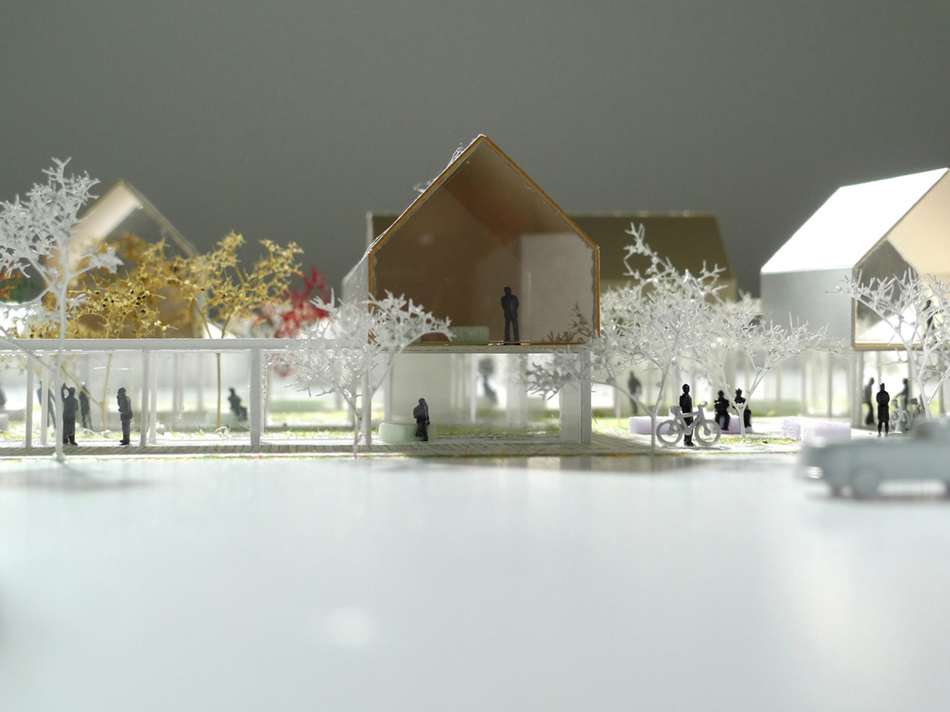 A-maze Charlotte - image 6