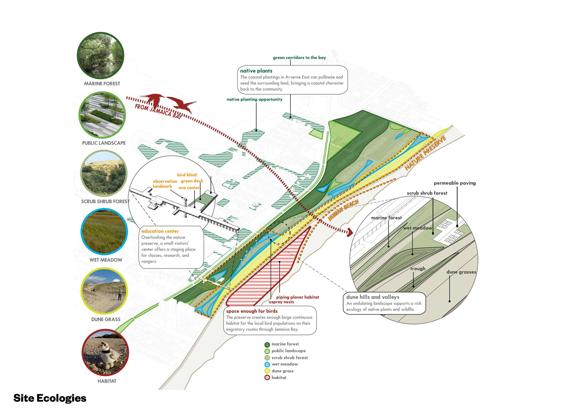 Fostering Resilient Ecological Development - image 8