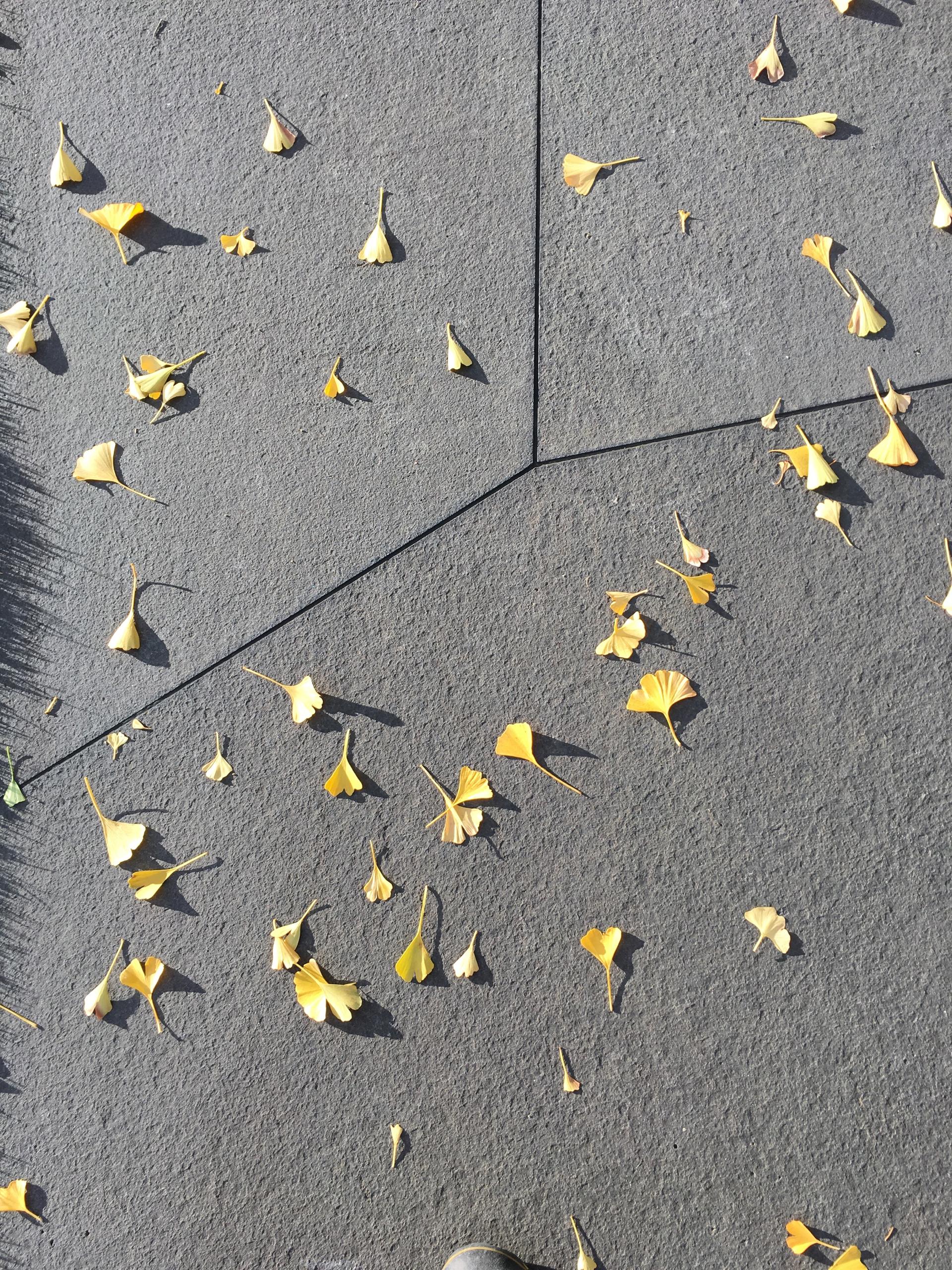 Abstracting Morphology - image 10