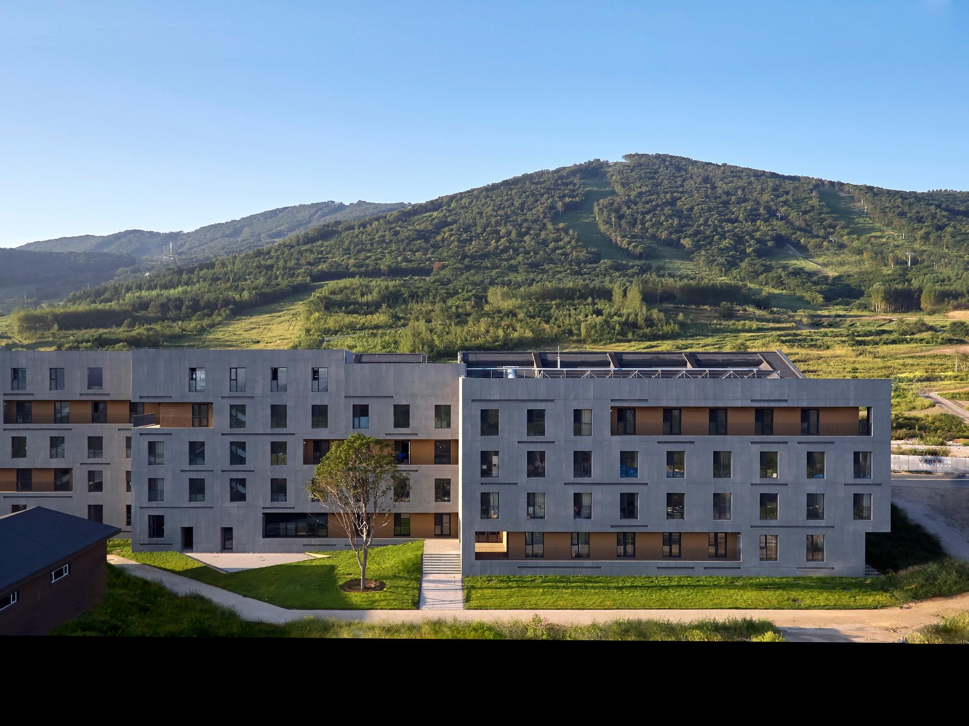 New Youth Commune - image 10