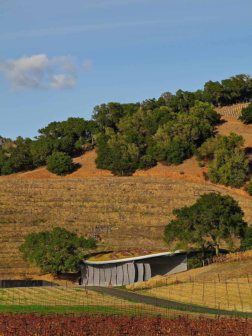Odette Estate Winery - image 4
