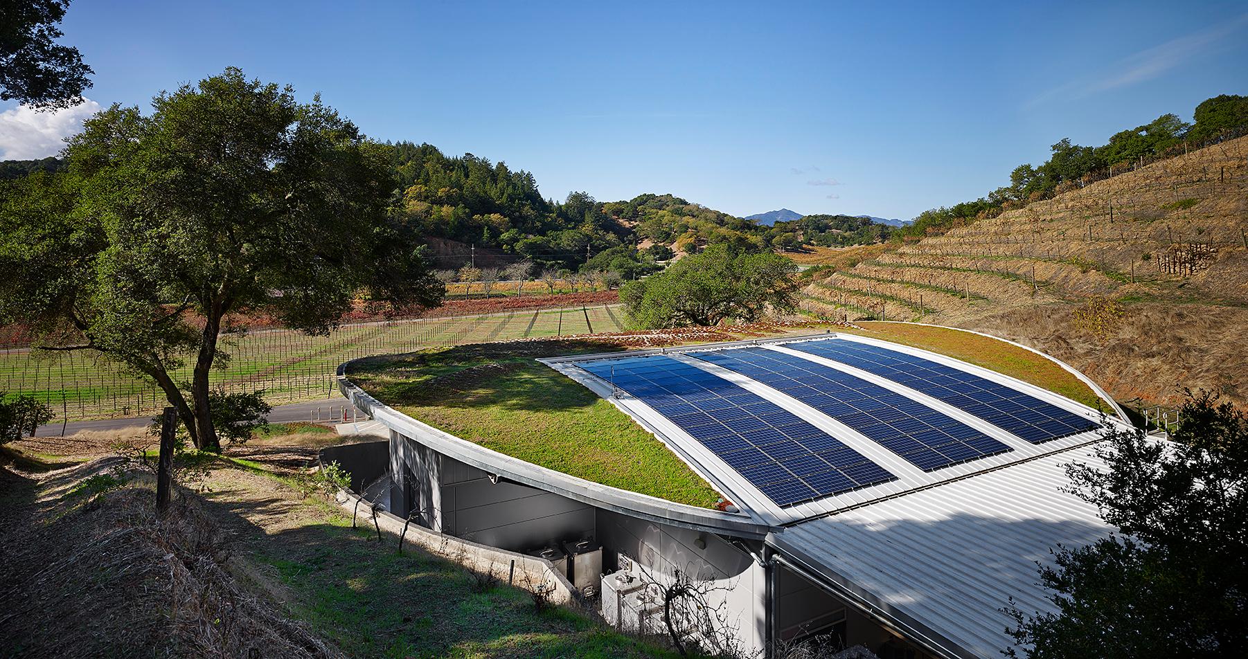 Odette Estate Winery - image 6