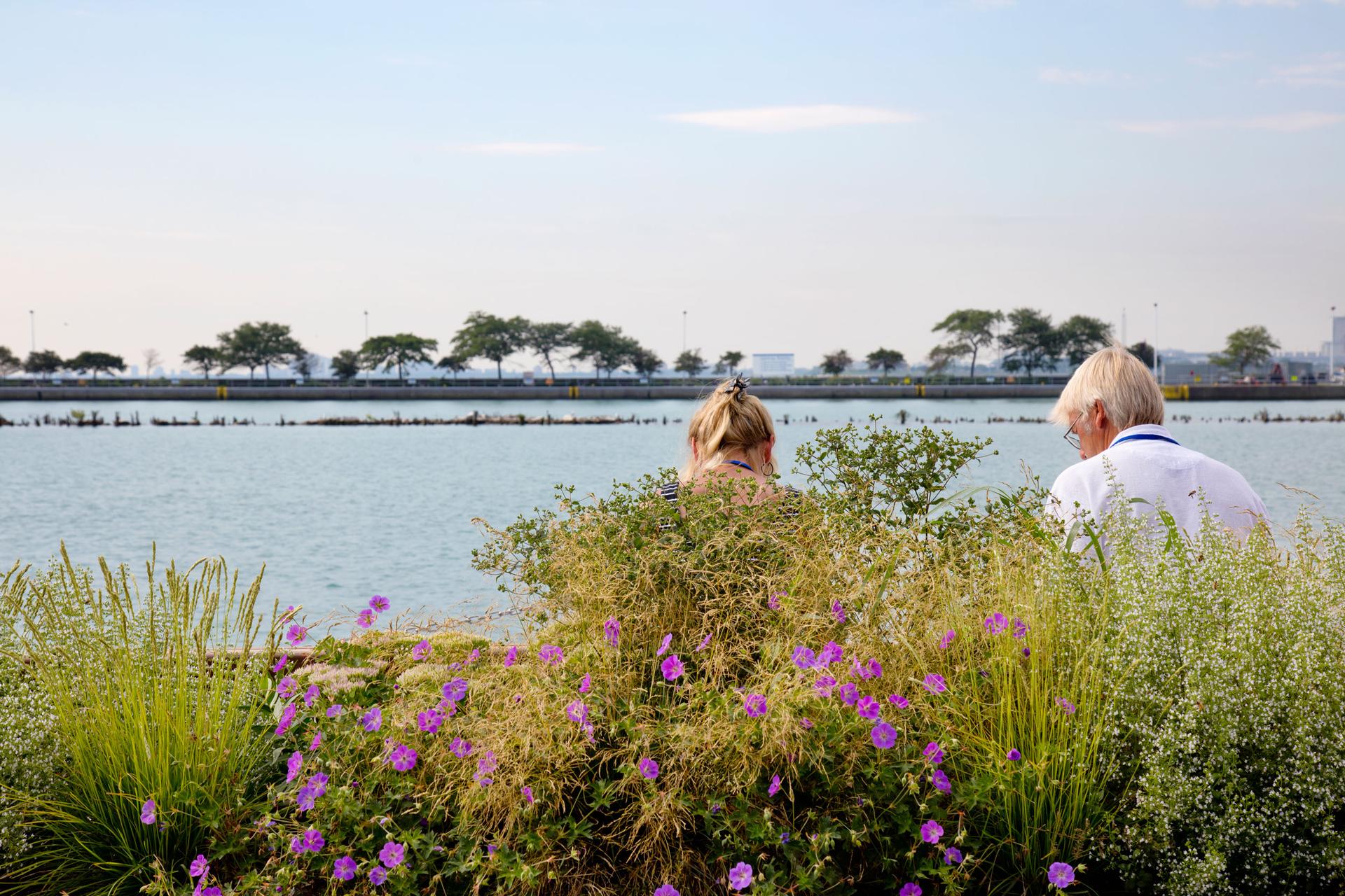 Navy Pier - image 11