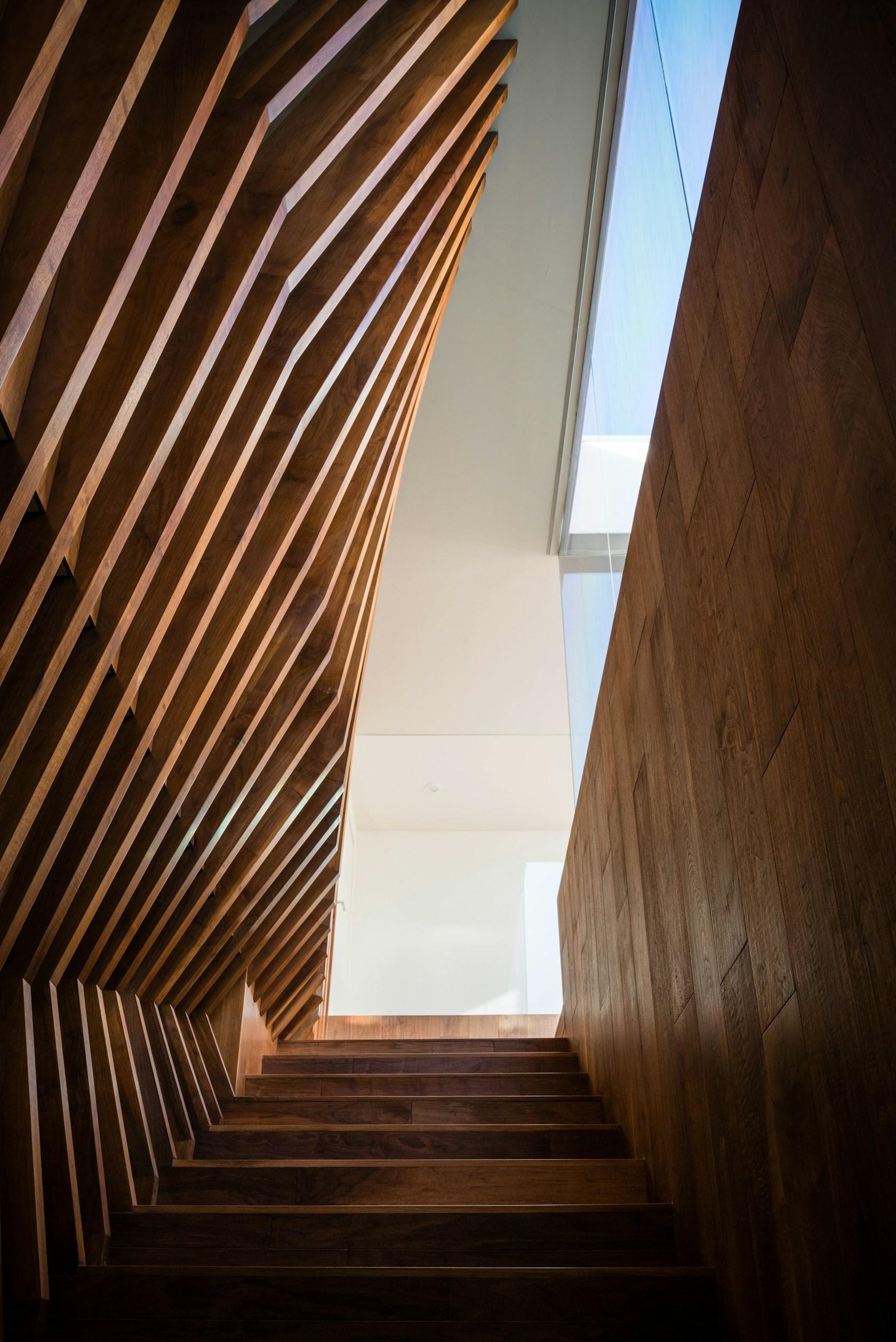 Hide Out - image 3