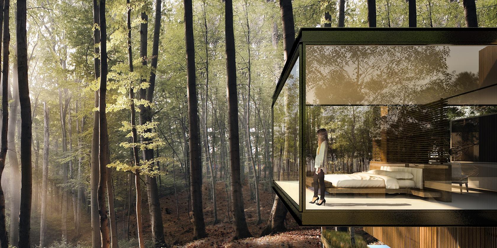 Villarobles - The Forest - image 3