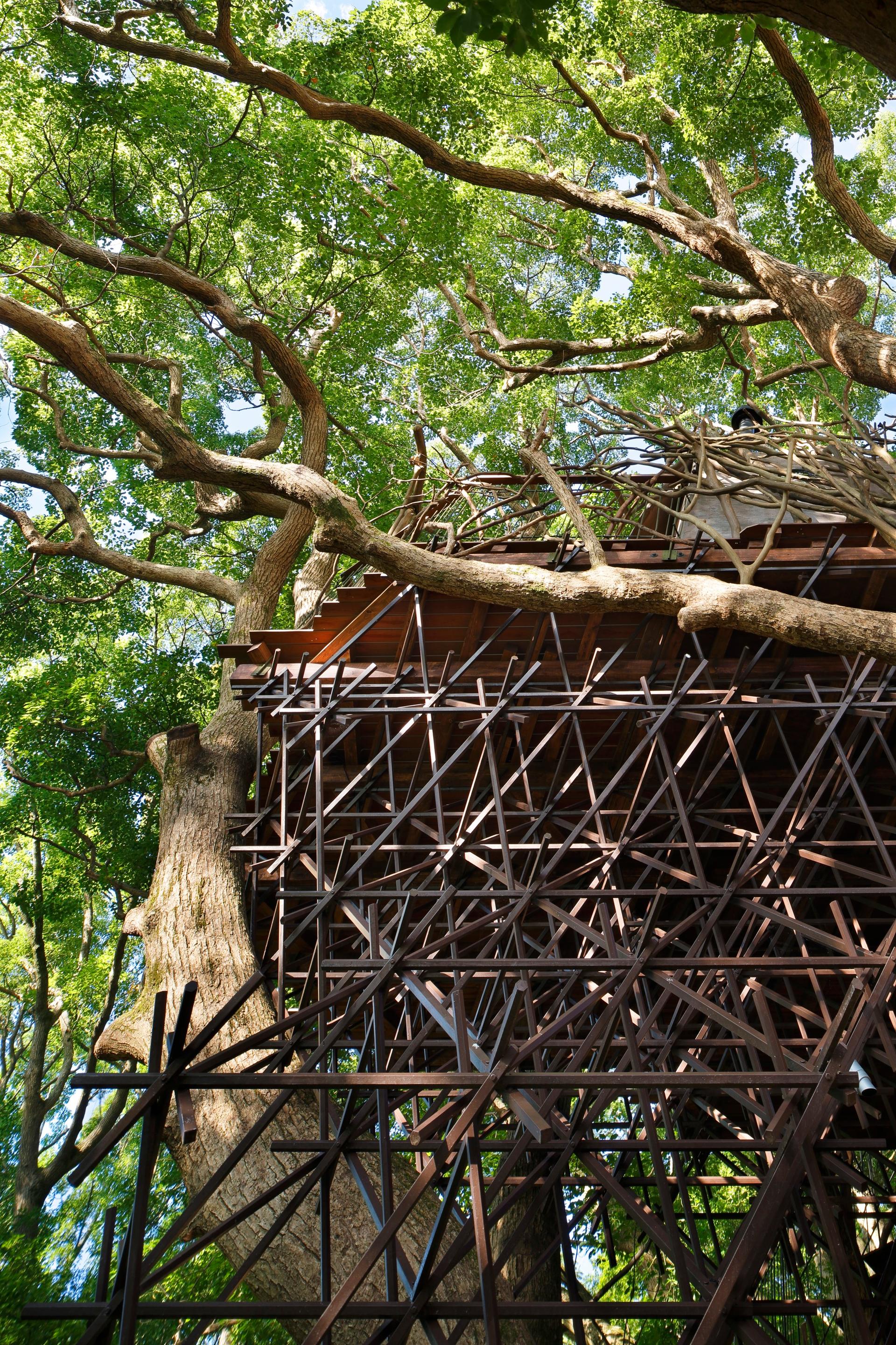 Bird’s Nest Atami - image 9