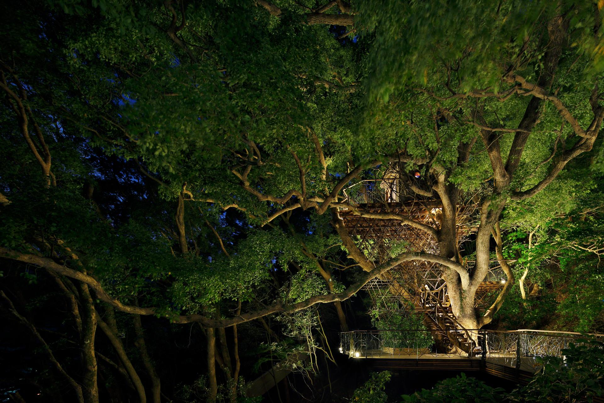 Bird’s Nest Atami - image 11